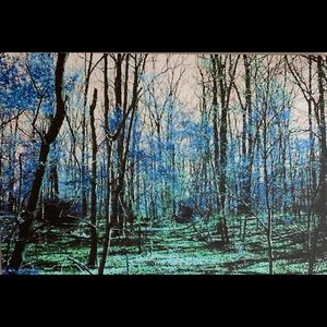 Digital Art photo on canvas